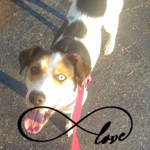 Meet your Posher, Nicole - Picture 1 of 1